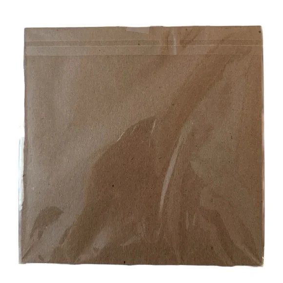 Sylvia Draws Chameleon Art Print - Picture 4 of 4